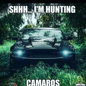 Meet your Posher, Frank